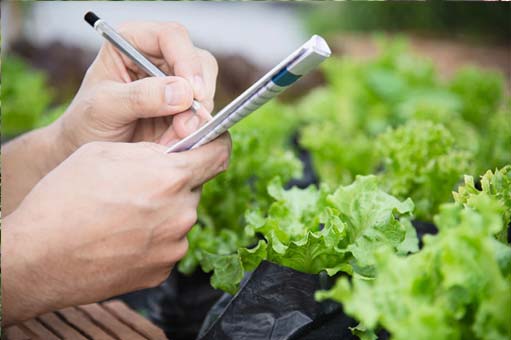 Agricultural corporate training services