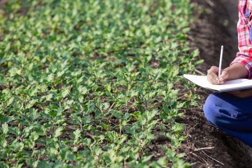 Agricultural experts training